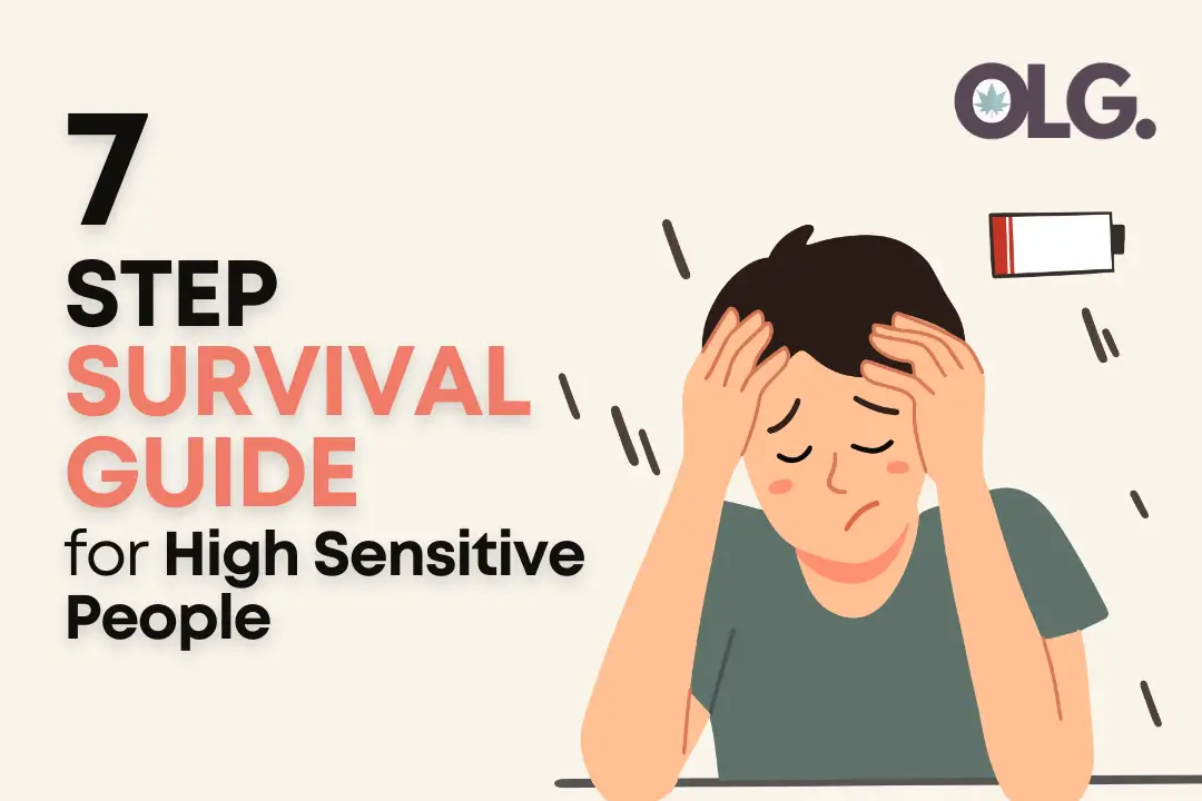 Survival Guide for Highly Sensitive People