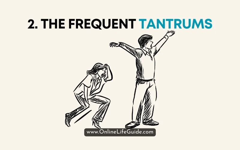 2. The Frequent Tantrums